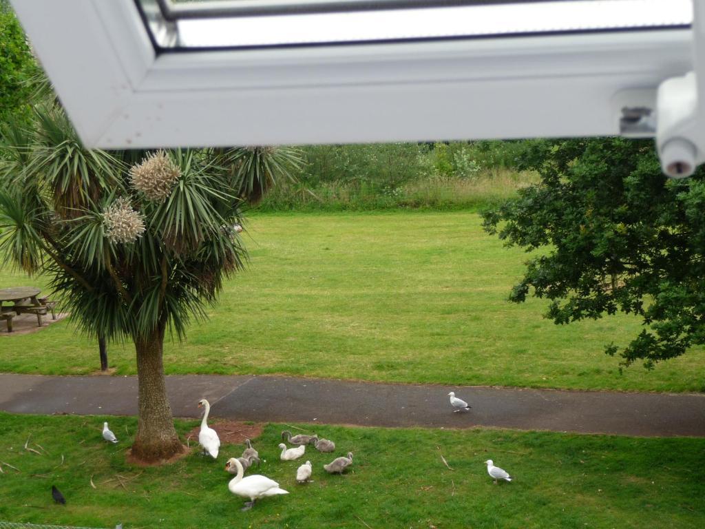 The Wentworth Guest House Paignton Δωμάτιο φωτογραφία